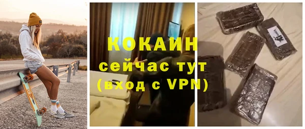 индика Армянск