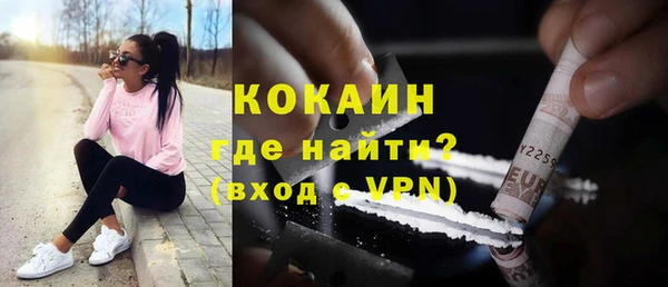 индика Армянск