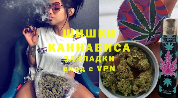 индика Армянск