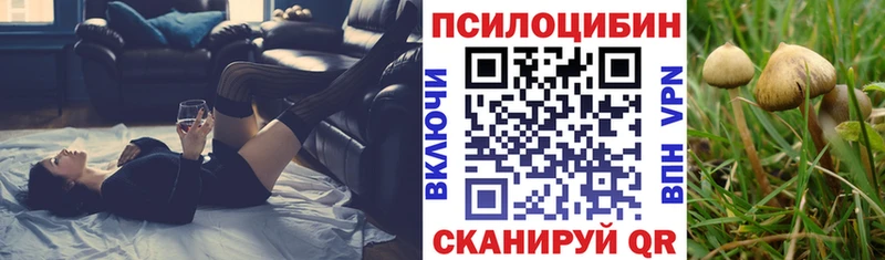 Псилоцибиновые грибы Magic Shrooms  Дрезна 